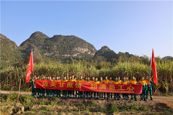 邊關(guān)甘蔗情，“甜”滿員工心—崇左紅獅助海外員工家屬收甘蔗